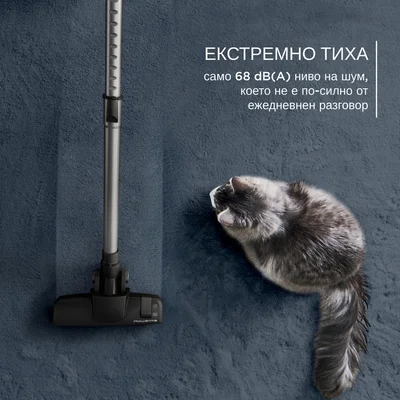 Прахосмукачка Rowenta RO7C32EA Green Force Cyclonic Effitech 900W, HEPA, 2.5 л, за сухо почистване, черна