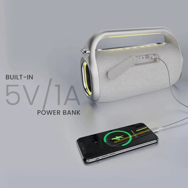 HiFuture MusicBox100 Silver, 20W Output, Karaoke Enable, Two Wireless Microphone, 4000mAh Battery (Support Power Bank), RGB Lighting, Pair to Play (TWS Mode), Bluetooth 5.3