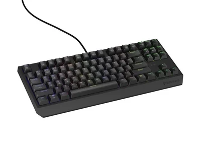 Геймърска клавиатура Genesis Thor 230 TKL RGB Outemu Brown Hot Swap, Черна