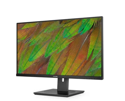 Philips 32B1N3800, 31.5" VA WLED, 3840x2160@60Hz, 4ms GtG, 350cd m/2, 3500:1, 50M:1 DCR, Adaptive Sync, FlickerFree, LowBlue Mode, 3Wx2, Tilt, Height Adjust, Pivot, Swivel, 2xHDMI, DP, USB hub