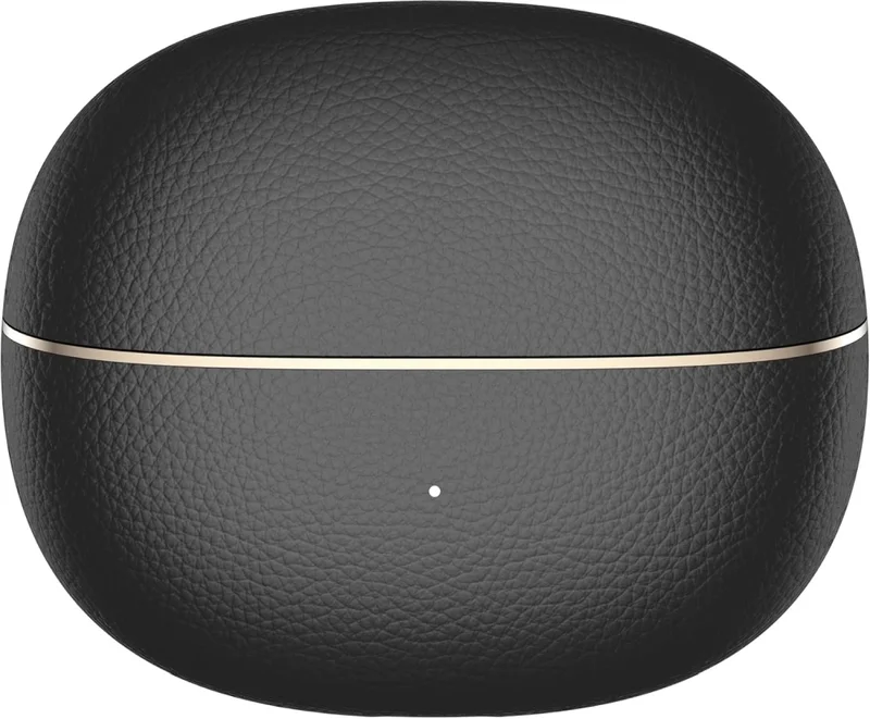 Honor CHOICE LCHSE Earbuds Clip2 Pro Black