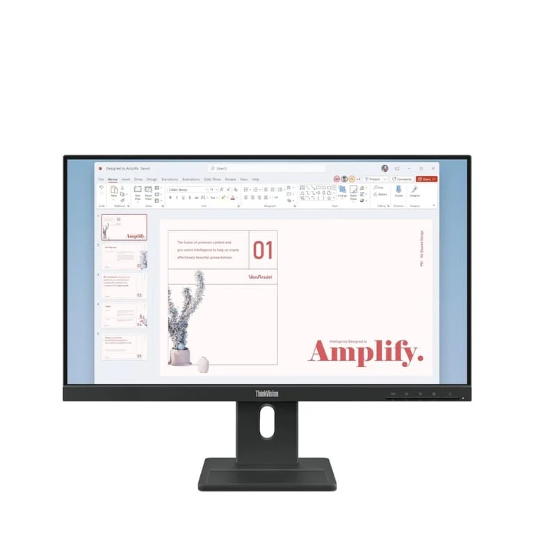 Монитор Lenovo ThinkVision E24-40 23.8" IPS, Full HD, 100Hz, Raven Black