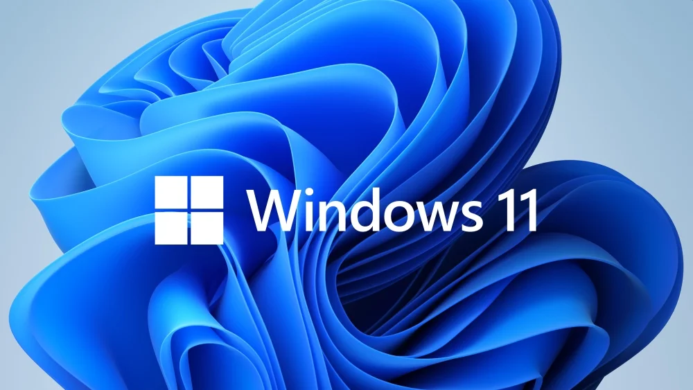 Win 11 Pro 64Bit Bulgarian 1pk DSP OEI DVD