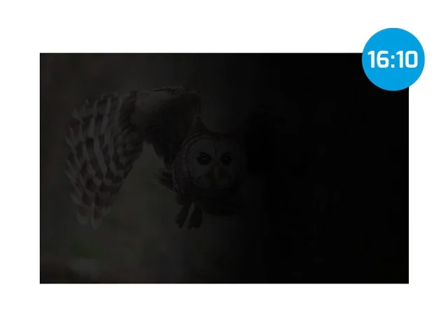Natec Privacy Filter, Owl, 16", 16:10