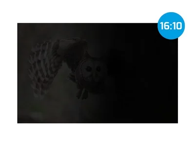 Natec Privacy Filter, Owl, 16", 16:10