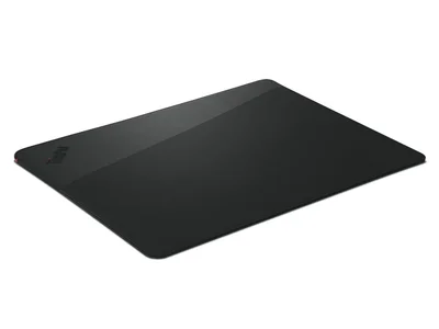 Калъф за лаптоп Lenovo ThinkPad Professional 14" 4X41L51716, еко материали, черен